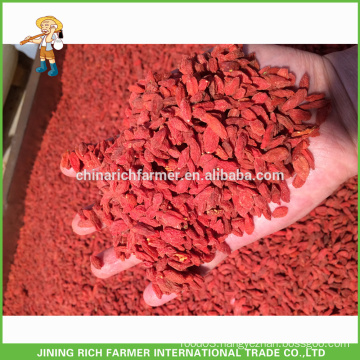 Export To Turkey Xinjiang High Quality Dried Goji Berry